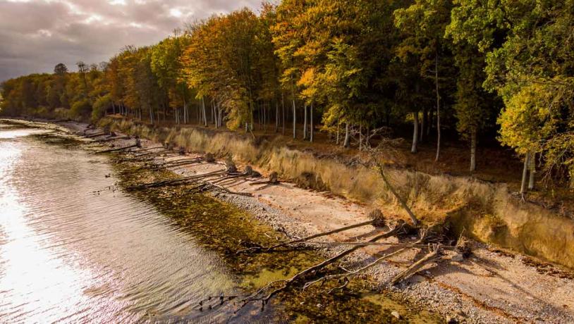 Faldne træer ved Skeldekobbel på Gendarmstien