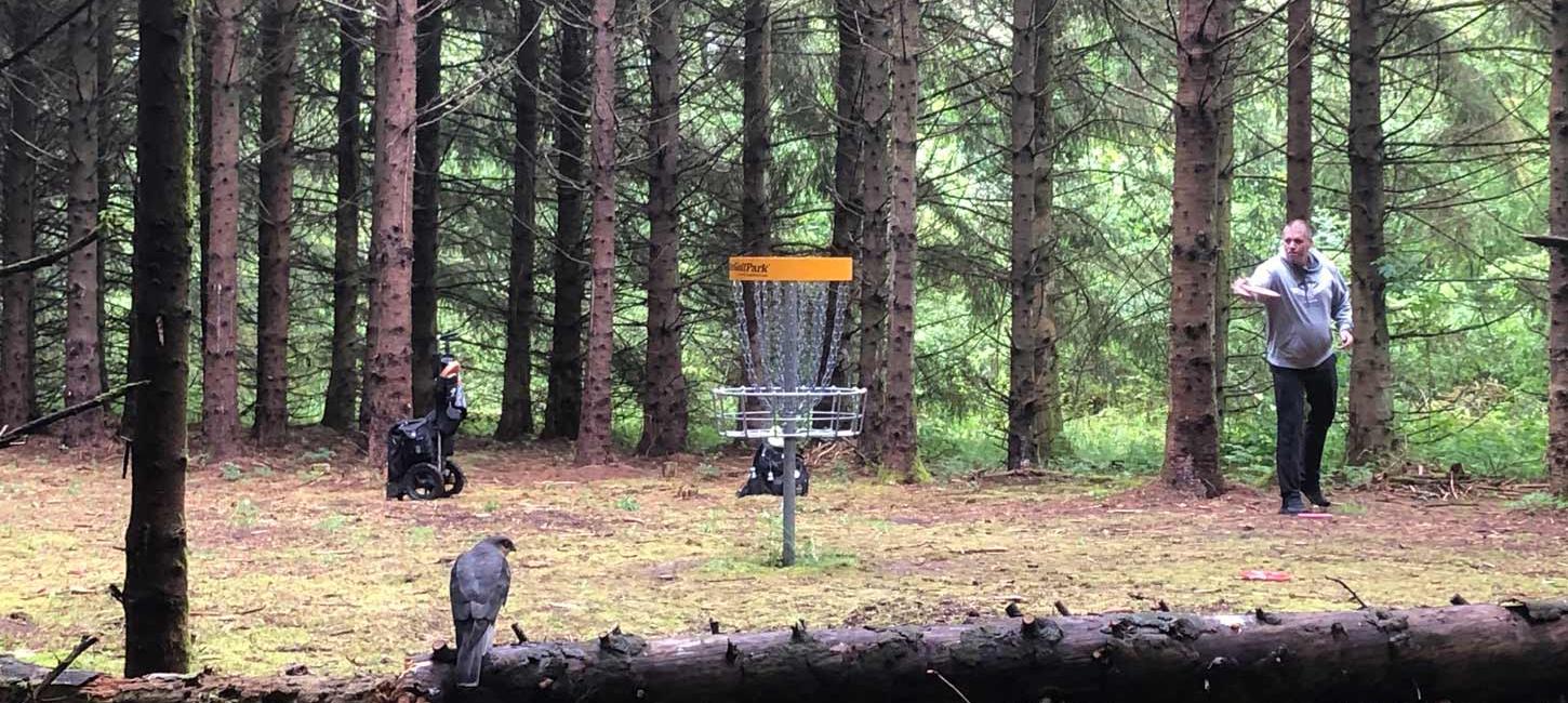 Disc Golf in the forest