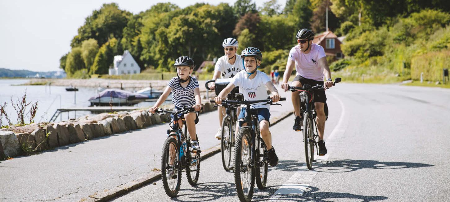 familie der cykler i sommerverjet 